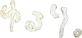 ゆるり。みなとみらい店